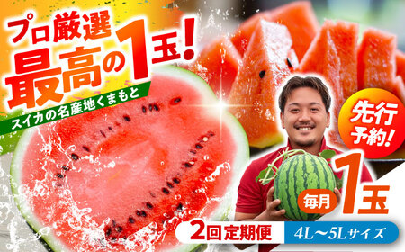 【先行予約】 【2回定期便】 大玉スイカ！4L～5Lサイズ（1玉 約9kg～11kg）　2種類楽しめる！ 1玉入りを2回お届け！ 【城野農園】[ZFV007]