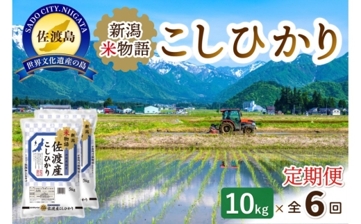 【6か月定期便】佐渡産コシヒカリ「新潟米物語」精米10kg（5kg×2袋）×毎月 合計60kg | 新潟県産コシヒカリ 新潟産コシヒカリ 佐渡産コシヒカリ 新潟県産こしひかり 佐渡産こしひかり 新潟米物語 お米 米 こしひかり 白米 精米 ブランド米 おこめ コメ 10キロ にいがた さど 新潟県 佐渡市
