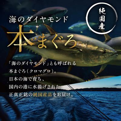 ふるさと納税 越前市 絶品!本マグロ セット 大トロ 250g + 中トロ 250g + 赤身 250g(すべて柵どり) |  | 02