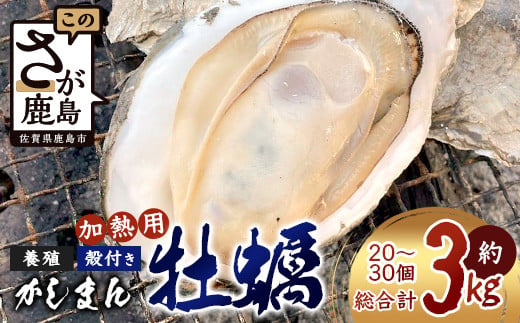 
            【期間限定】【牡蠣】【有明海】かしまん牡蠣(養殖）殻付き　3kg　かき 牡蠣　佐賀県　鹿島市　有明海　C-114 
          