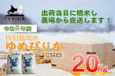 【ふるさと納税】令和5年産北海道米を代表する人気の品種「ゆめぴりか」（精白米・20kg）