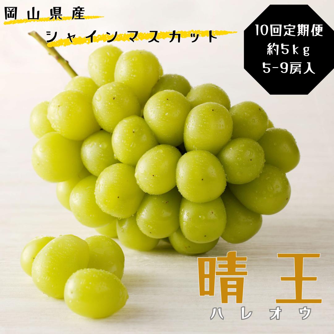 
                  土-30　シャインマスカット 晴王 定期便 秀品 大房 約5kg 5-9房 10回発送 岡山県産 ぶどう ギフト 御礼 プレゼント 御礼 御祝 御供 果物 くだもの フルーツ
                