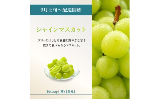 ≪先行受付≫ 山形からおすすめフルーツ定期便【定期便全4回】
