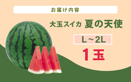 【先行予約】大玉スイカ「夏の天使」 1玉入 （L～2L）抜群の糖度で甘い！／ 期間限定 果物 フルーツ 西瓜 産地直送 ※2024年7月中旬より順次発送