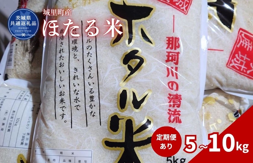 
                  ほたる米 5kg 10kg 定期便 3ヶ月 6ヶ月  9ヶ月 12ヶ月 米 こめ コメ お米 おこめ コシヒカリ ホタルマイ 白米 精米 ごはん ご飯 令和7年産 茨城県 城里町 高萩市（茨城県共通返礼品・城里町産）
                