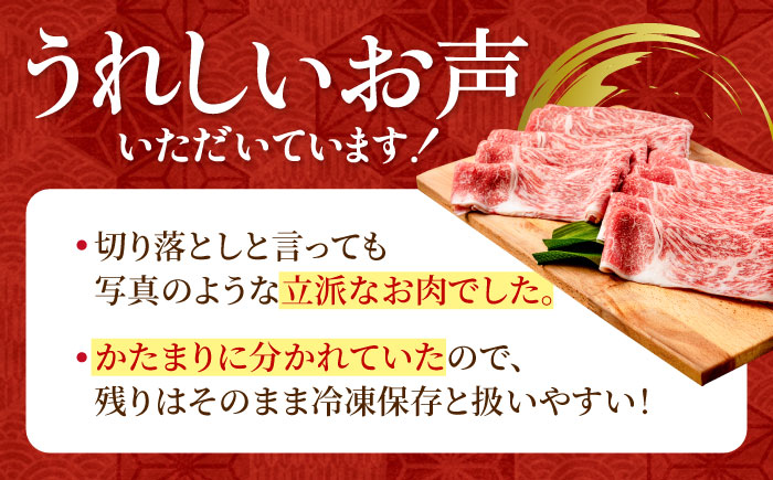 佐賀牛 贅沢切り落とし 1000g 1パック 1枚1枚丁寧に巻いてお届け！【株式会社いろは精肉店】 [IAG043]