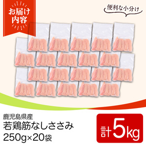 y534 鹿児島県産若鶏筋なしささみ(計5kg・250g×20袋) 国産 九州産 鹿児島県産 鶏肉 鳥肉 鶏 とり 若鶏 冷凍 ささみ ササミ 筋なし 小分け 真空 【TRINITY】