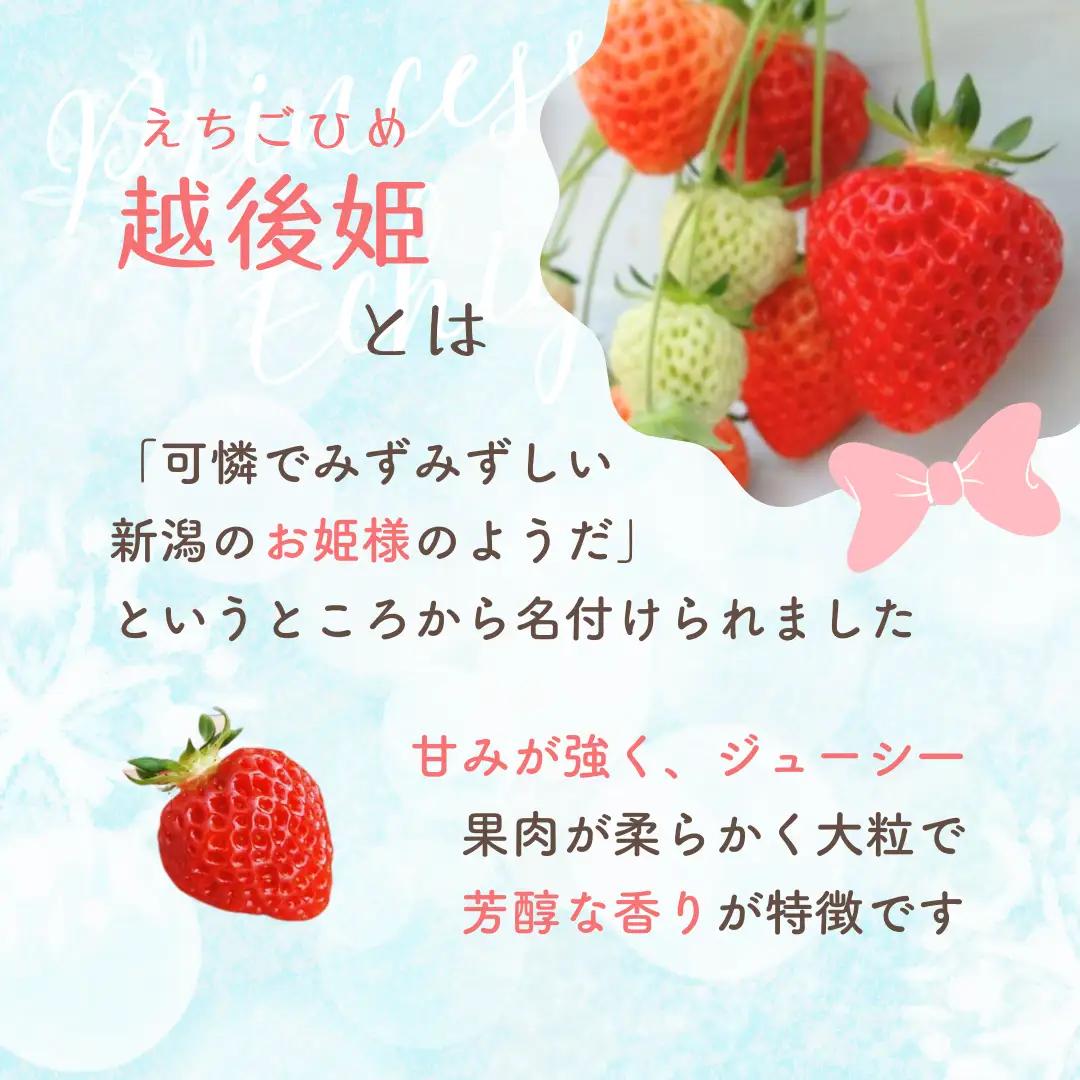 冷凍いちご 越後姫 冷凍イチゴ１kg | 苺 イチゴ ストロベリー