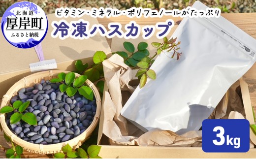 ハスカップ 冷凍 3kg 2026年収穫【厚岸ハスカ】[ アントシアニン スーパーフード 果実 ビタミン ミネラル 抗酸化作用 ポリフェノール 北海道産 ]