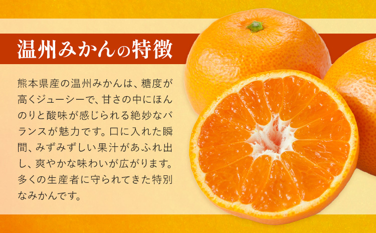 みかん 温州みかん 約3kg 日本フルーツ株式会社 熊本県 長洲町 《11月上旬～12月上頃に出荷予定（土日祝除く）》 柑橘 果物 秀品 フルーツ スイーツ デザート ギフト ご贈答