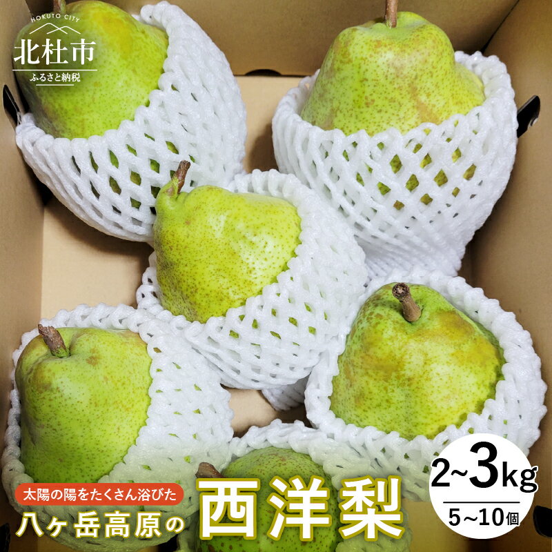 【ふるさと納税】 西洋梨 先行予約 選べる容量 2kg 3kg ラ・フランス シルバーベル 期間限定 数量限定 山梨県産 八ヶ岳高原 有機肥料 低農薬 甘い ラフランス 梨 フルーツ 果物 青果物 送料無料 【2025年先行予約】