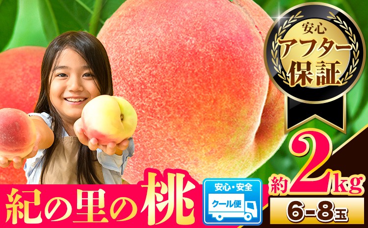 
                  4年連続人気No.1!! 桃 ～とろける甘さ～ 紀の里の桃 約2kg(6-8玉入り)【アフター保証付】《2026年6月中旬-8月中旬頃出荷》 桃 もも 白鳳 清水白桃 日川白鳳 長田白鳳 川中島白桃 クール便
                