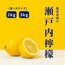 【ふるさと納税】越田農園 瀬戸内檸檬 約2kg 約3kg レモン ワックス防腐剤不使用 選べるサイズ 選べる発送時期 広島県 大崎上島町 瀬戸内 離島 国産 皮ごと 丸ごと 露地栽培 ギフト 送料無料 産地直送