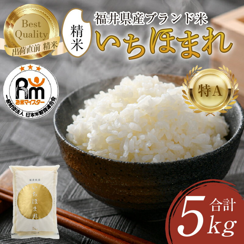 【ふるさと納税】【令和7年産・新米】米 いちほまれ 精米 5kg × 1袋《お米マイスター厳選！発送直前に精米！》 ／ 米 5kg 5キロ 福井県産 ブランド米 ご飯 白米 新鮮 米 おこめ お米