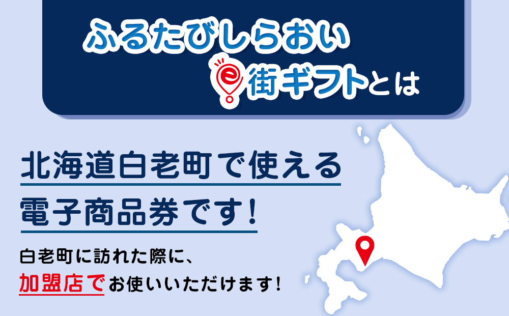 【ANAの旅先納税】ふるたびしらおいe街ギフト　3,000円分 EG002