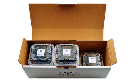 山形の朝摘み生ブルーベリー「ガイアの雫」500g(100g×5パック) FY25-109