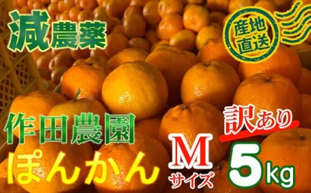 【訳あり】作田農園直送！ポンカンＭサイズ5kg 減農薬 有機肥料 ポンカン ぽんかん くだもの 果物 フルーツ 柑橘 かんきつ みかん ミカン 人気