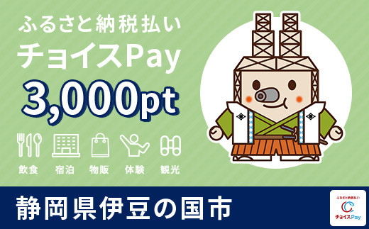 
伊豆の国市チョイスPay 3,000pt（1pt＝1円）【会員限定のお礼の品】
