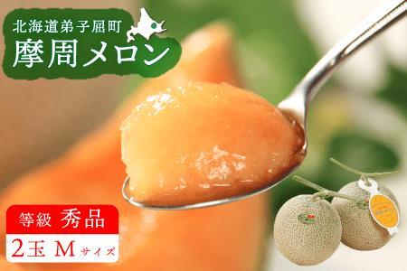 3074.摩周メロン秀品２玉入り（1.3kg以上）※8月上旬より順次発送予定※
