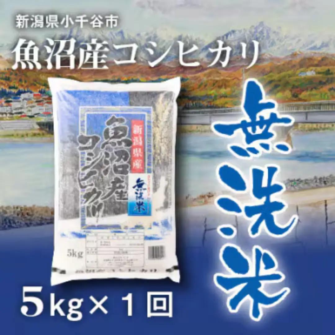 魚沼産コシヒカリ 無洗米 5kg 新潟県 |おこめ 5キロ×1袋 特A評価 無洗