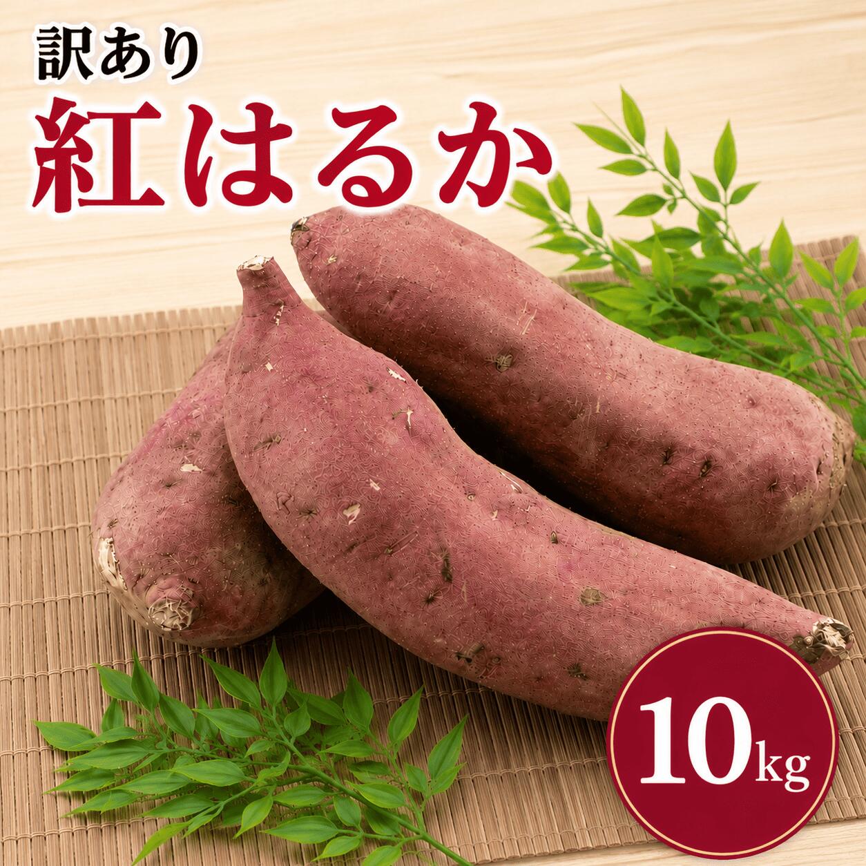 【ふるさと納税】 【2026年8月発送】 訳あり さつまいも 紅はるか 約10kg サツマイモ さつま芋 甘藷 熟成芋 いも 芋 イモ 焼き芋 やきいも 不揃い 規格外 野菜 おやつ 旬 農家直送 茨城 鉾田 ほこた 株式会社井川農園