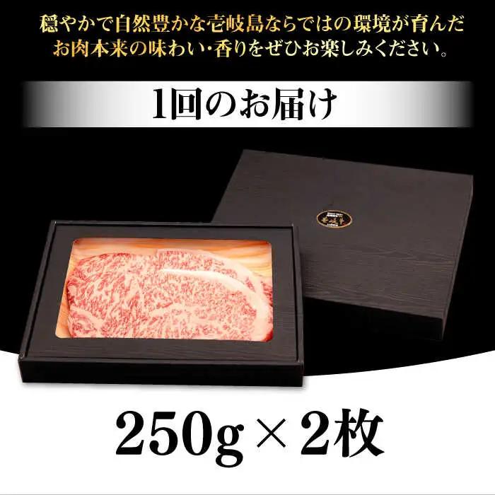 【全6回定期便】 壱岐牛 サーロインステーキ 500g（250g×2枚）《壱岐市》【株式会社イチヤマ】 肉 牛肉 サーロイン ステーキ 焼肉 BBQ [JFE030] 186000 186000円