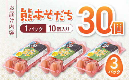 おいしいたまご 熊本そだち 30個入り ( 10個入り × 3パック ) 山都町たまご 熊本県産たまご 九州産たまご 国産たまご 新鮮たまご 鮮度 高品質たまご たまご 小分けたまご たまご焼き たま