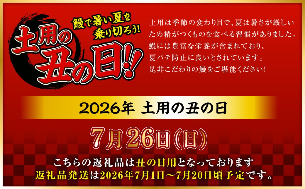 【丑の日用】鹿児島県産無頭特大うなぎ蒲焼約190g×5尾　合計約950g CSR-701