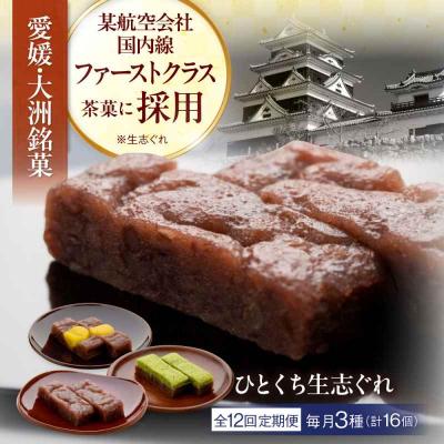 ふるさと納税 大洲市 【全12回定期便】ひとくち生志ぐれ 3種16個入り [AGCB016]