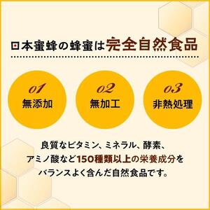日本蜜蜂のハチミツ100％！はちみつ（逆さ容器300g1本）  高級 自然食品 無添加 ニホンミツバチ