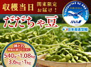 【ふるさと納税】【令和7年産先行予約】 朝採れだだちゃ豆(枝豆) 容量お選びください［540g～3.6kg］「産直空輸」で限界鮮度を当日お届け！