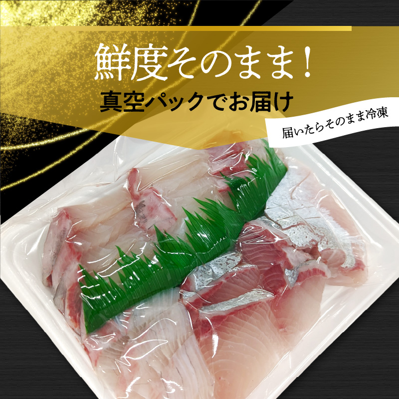 高級大和カンパチお造り4人前約320g N072-YA0434
