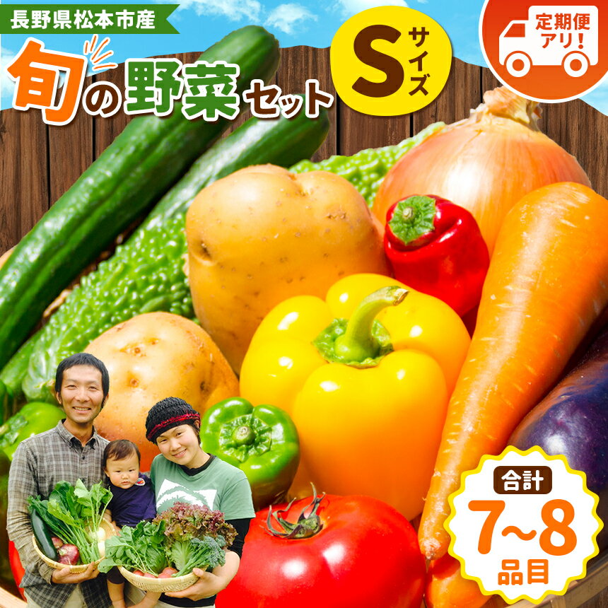 【ふるさと納税】子育て農家の野菜セット（Sサイズ）農薬・化学肥料不使用 ｜ ふるさと納税 野菜 セット おまかせ 長野県 松本市産 松本市 旬の野菜 農薬不使用 無農薬 化学肥料不使用