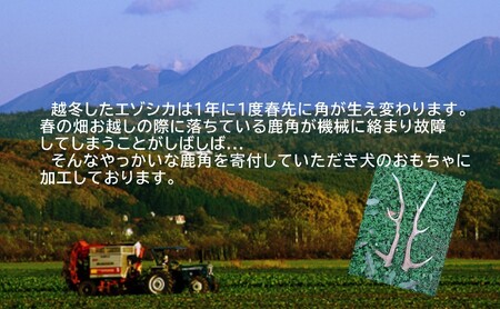 【赤系】りくべつ エゾシカの角 鹿角 アクセサリー ミサンガ風ブレスレット＆組紐キーホルダー セット ブレスレット キーホルダー 北海道 陸別