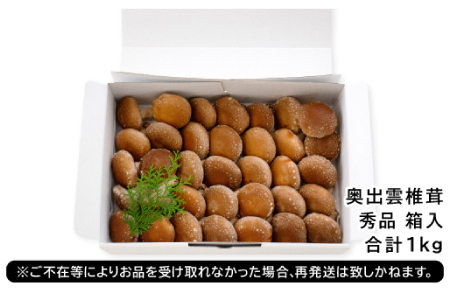 「奥出雲椎茸」秀品箱入【椎茸 生しいたけ 1kg 収穫直後 サイズ混合 新鮮 旨味たっぷり 菌床栽培 国産 きのこ キノコ 野菜 料理 食品 産地直送 自宅用】