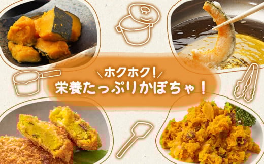 かぼちゃ 10kg（5～8玉）