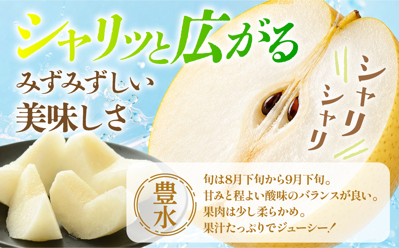 【先行予約】福島県いわき市産 梨(豊水) 約5kg | 梨 豊水 いわき市産 長谷川梨園 約5kg 先行予約 期間限定 果物 フルーツ 和梨 国産 新鮮 産地直送 甘い 濃厚果汁 ジューシー 瑞々しい