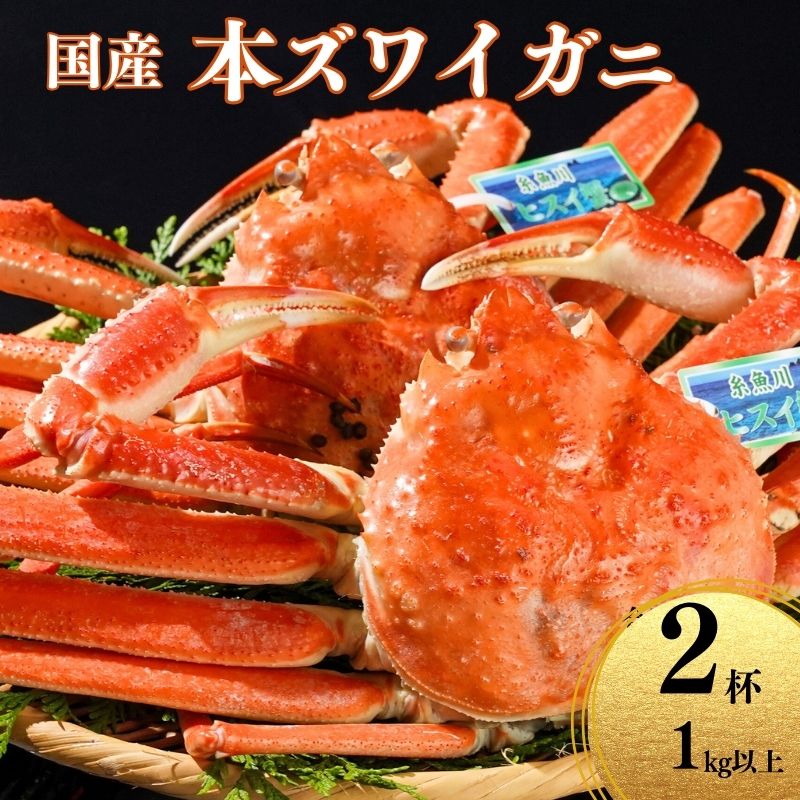 【ふるさと納税】〈期間限定〉本ズワイガニ 500g以上×2杯 計1kg以上 姿 蒸し蟹 糸魚川産 鮮度が命！蒸したて直送 ずわいがに かに 蟹 ヒスイ水産 国産 日本海 新潟 新鮮 タグ付き 11月から漁開始 ギフトにも おススメ カニ ヒスイ蟹