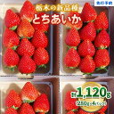 【ふるさと納税】幸せを呼ぶハート型 栃木の新品種《とちあいか》280g×4P《12月より順次出荷》｜いちご 苺 イチゴ フルーツ 果物 産地直送 [0564]