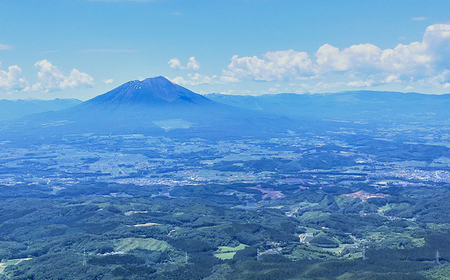 岩手県産 野菜セット 10品 12ヶ月 定期便 ／ 野菜 やさい 詰め合わせ 詰合せ 詰合わせ 旬 新鮮 国産 季節 季節野菜 おまかせ 春野菜 夏野菜 秋野菜 山菜 葉野菜 葉物 根菜 果菜 冷蔵 