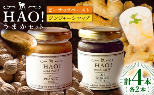 【HAO！うまかセット】ピーナッツペースト＆ジンジャーシロップ 計4本（各2本）セット《小値賀町担い手公社》【小値賀町】濃厚 ピーナッツバター 落花生 生姜 スパイス 常温 [DAA050]
