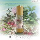 【ふるさと納税】【Nature Plants Skin Care】 ローゼルLotion 50ml | 化粧水 スキンケア ローション 美容 プレゼント ギフト 敬老の日 コスメ オーガニック メンズ レディース 美容液 乳液 返礼品 沖縄 沖縄県 南城市