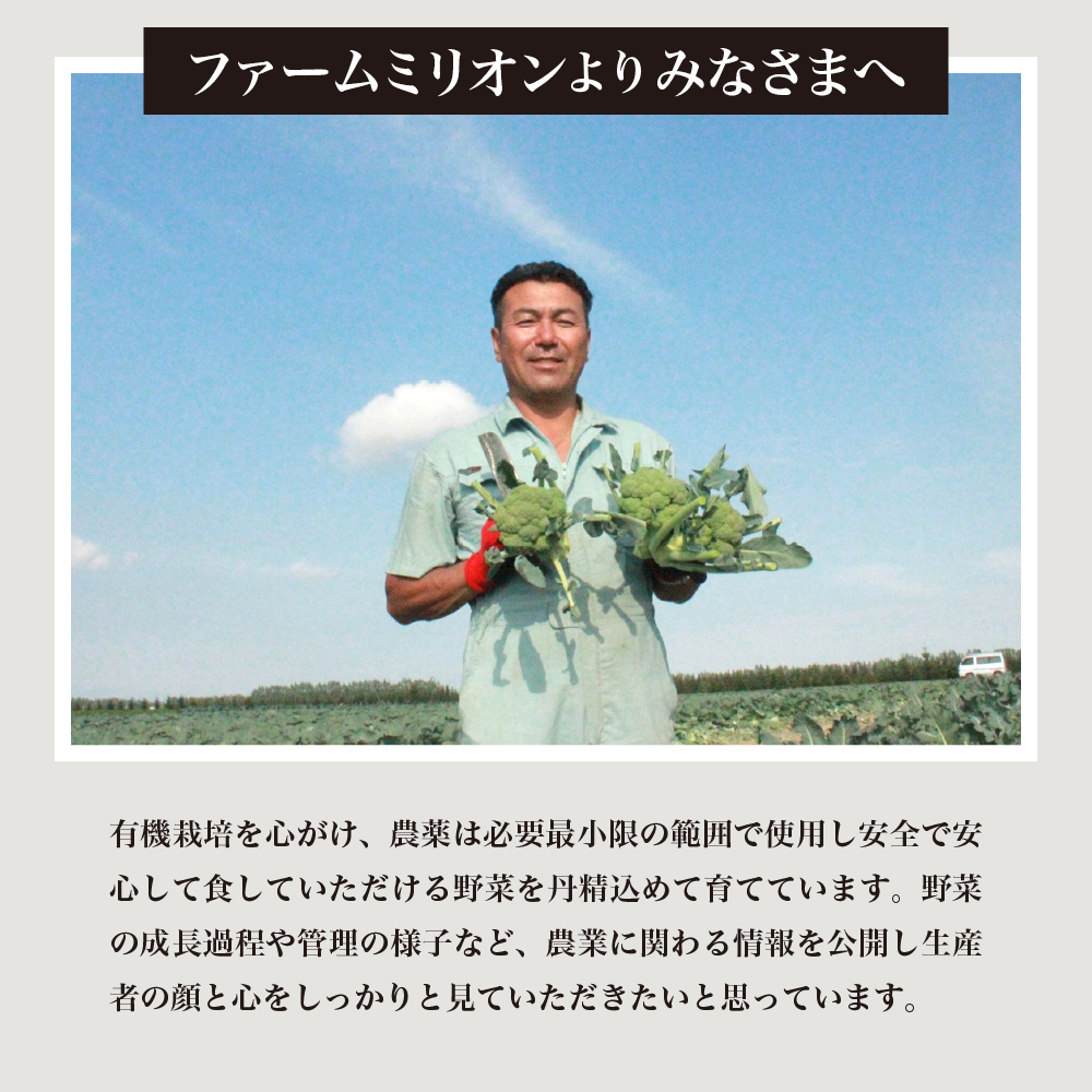 北海道十勝芽室町 ファーム・ミリオンの贅沢根菜セット（長芋・ごぼう・山わさび） me016-015c