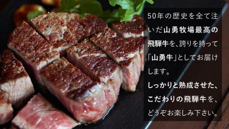 飛騨牛 サーロインステーキ 150g×2枚 300g 飛騨の牧場で育った熟成『山勇牛』牛肉 和牛 サーロイン ブランド牛 和牛 A4 A5 ランクのみ[Q624]