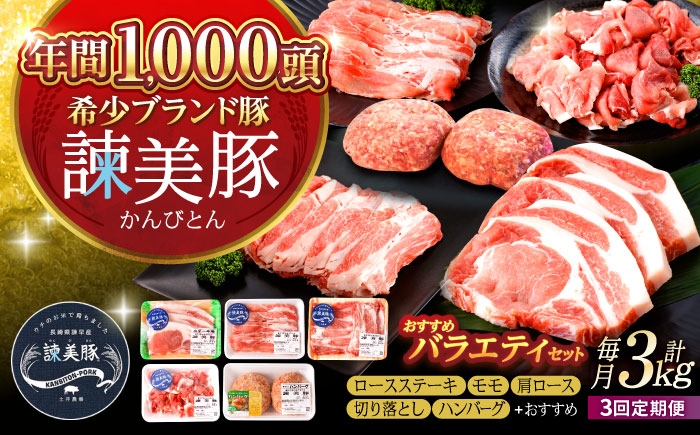 
                  【3回定期便】諫美豚おすすめバラエティセット3kg / 諫美豚 豚肉 肩ロース ステーキ モモ 切り落とし ハンバーグ ロースステーキ / 諫早市 / 株式会社土井農場 [AHAD002]
                
