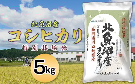 7T05-1北魚沼産コシヒカリ特別栽培米5kg（長岡川口地域）【2025年11月発送】