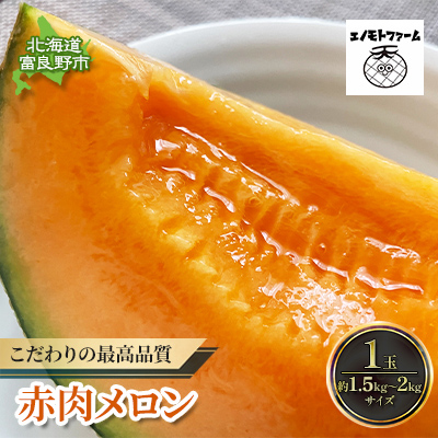 【2026年夏発送】北海道 富良野産 赤肉メロン 1玉 1.5kg～2kg ふらの メロン ギフト 果物 赤玉(榎本農園) メロン フルーツ 果物 新鮮 甘い 贈り物 ギフト 道産 ジューシー おやつ ふらの ブランド 夏 