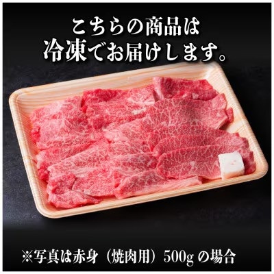 レビューキャンペーン実施中!飛騨牛　厳選肩ロース・赤身(焼肉・BBQ用)1kg　A4～A5　小分け【配送不可地域：離島】