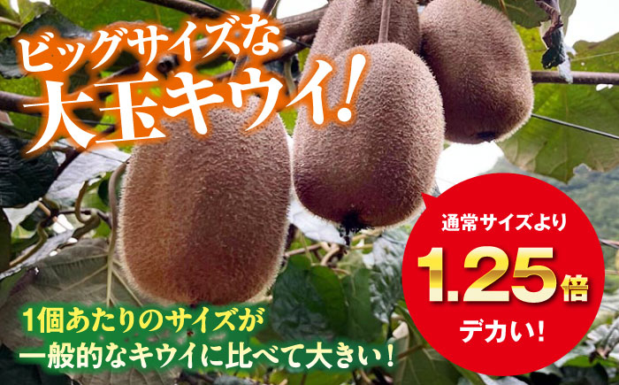 キウイフルーツヘイワード 大玉150g以上 16個 甘熟パック入り・フルーツキャップ付き