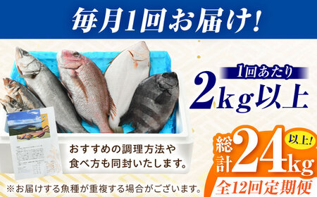 【定期便】全12回(毎月発送)【加福鮮魚】「若狭小浜港産地直送」旬の天然鮮魚お任せセット！ 小浜市 / 加福鮮魚【配送不可地域：北海道、北東北（秋田、青森、岩手）、九州、沖縄、離島】 [BFBC017